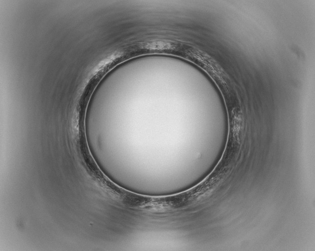 X0000116040727200912041811