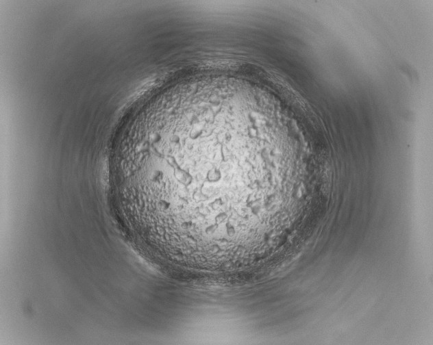 X0000116040729200912041811