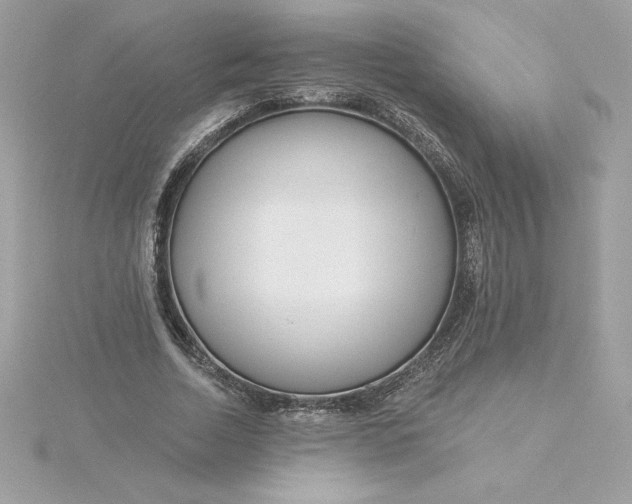 X0000116040730200912041811