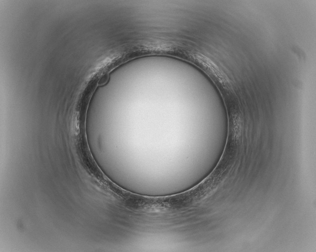 X0000116040731200912041811