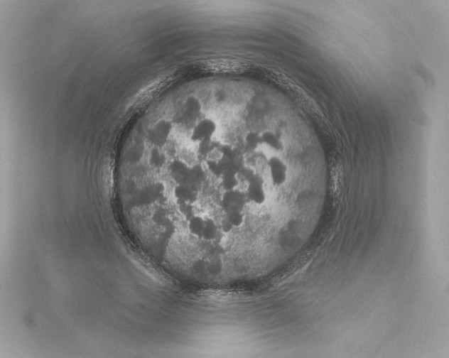 X0000116040733200912041811