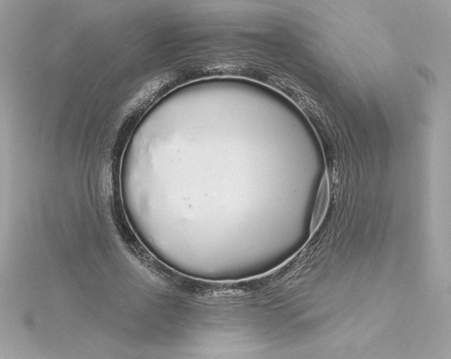 X0000116040734200912041811