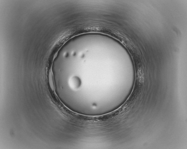 X0000116040735200912041811