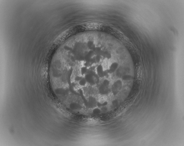 X0000116040737200912041811