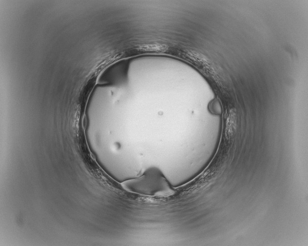 X0000116040739200912041811