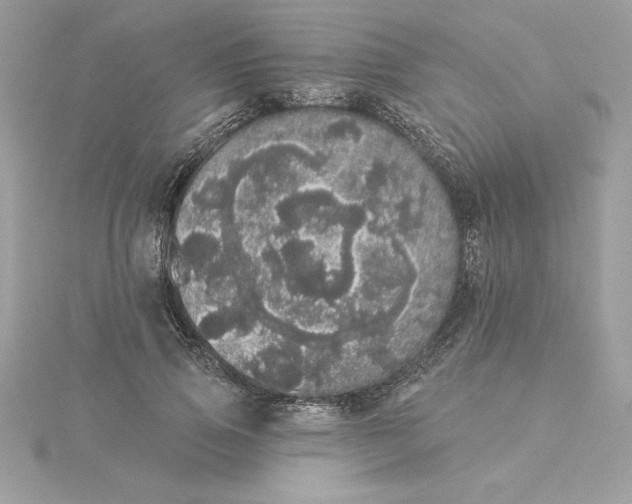 X0000116040741200912041811