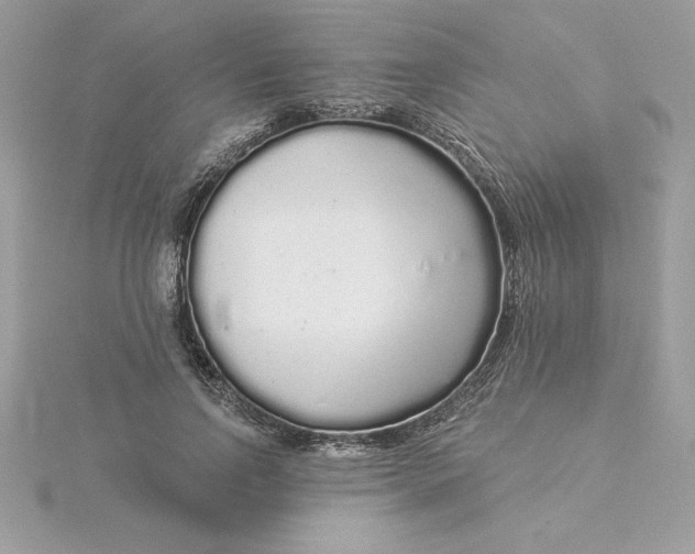 X0000116040742200912041811