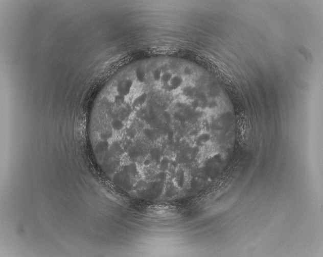 X0000116040745200912041811