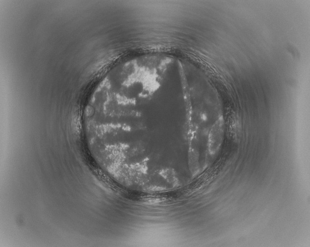 X0000116040746200912041811