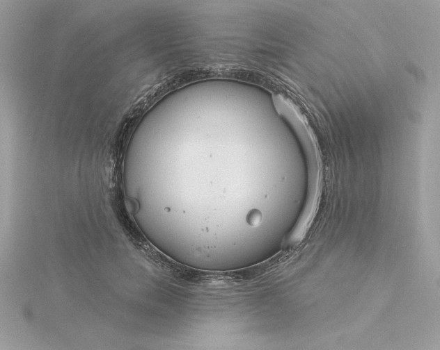 X0000116040750200912041811