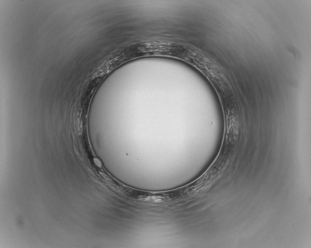 X0000116040751200912041811