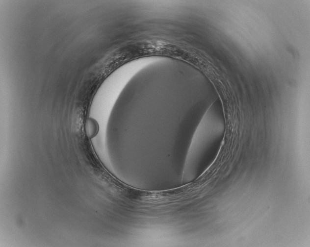 X0000116040754200912041811