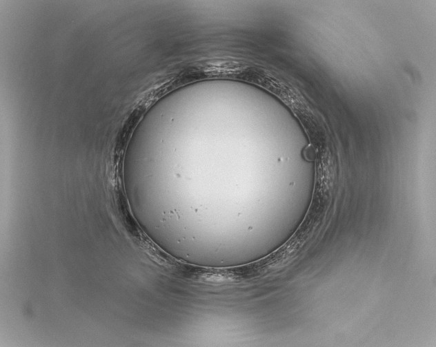 X0000116040755200912041811