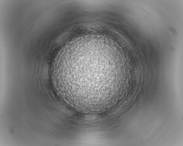 X0000116040757200912041811