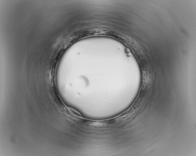 X0000116040759200912041811