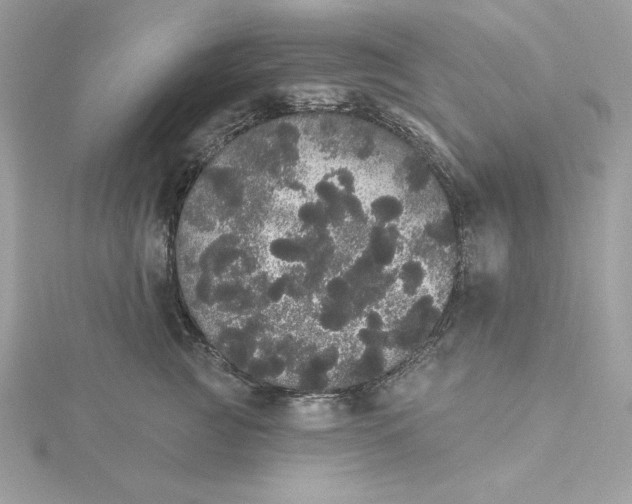 X0000116040761200912041811