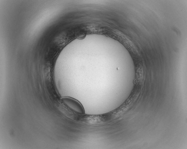 X0000116040762200912041811