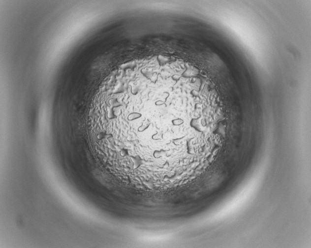 X0000116040765200912041811