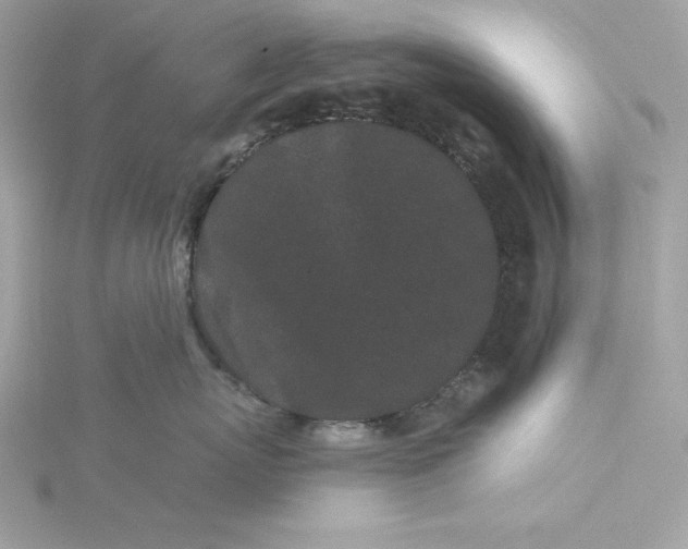 X0000116040767200912041812