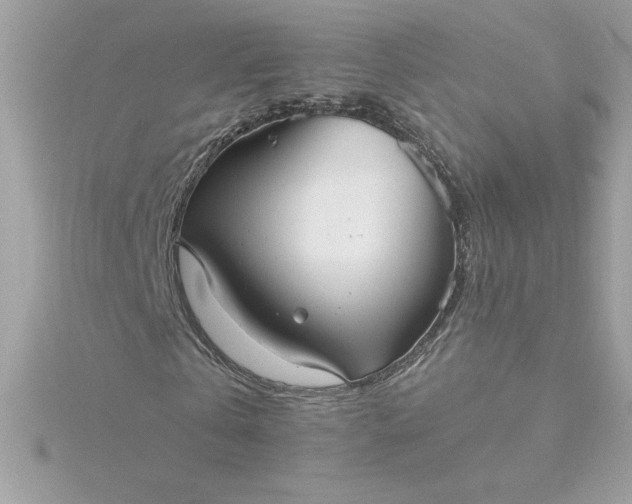 X0000116040769200912041811