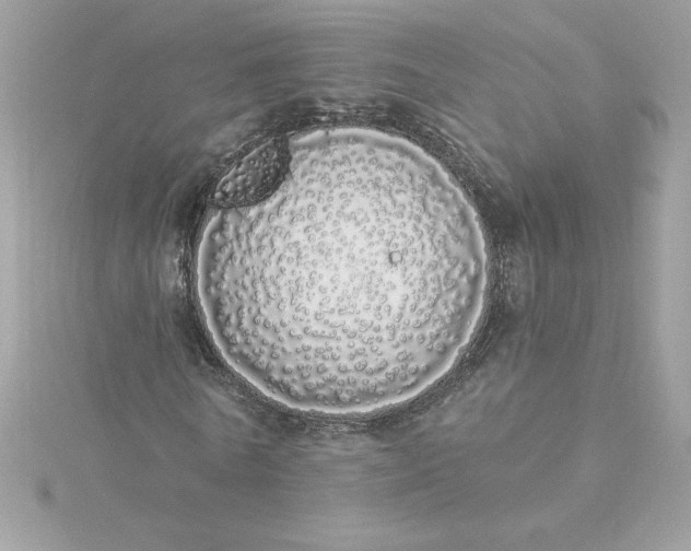 X0000116040770200912041811