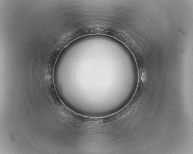 X0000116040771200912041811