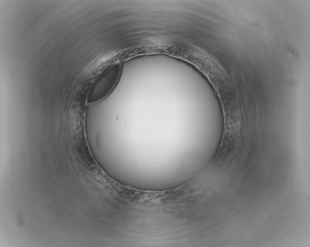 X0000116040773200912041811