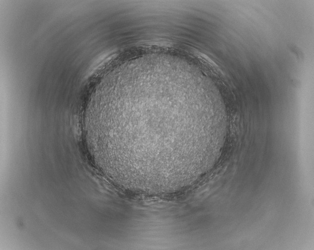 X0000116040774200912041811