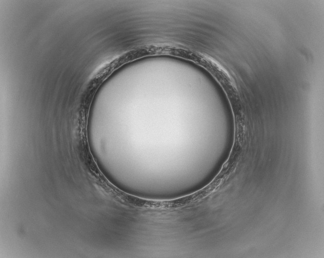 X0000116040775200912041811