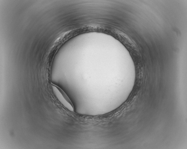 X0000116040776200912041811