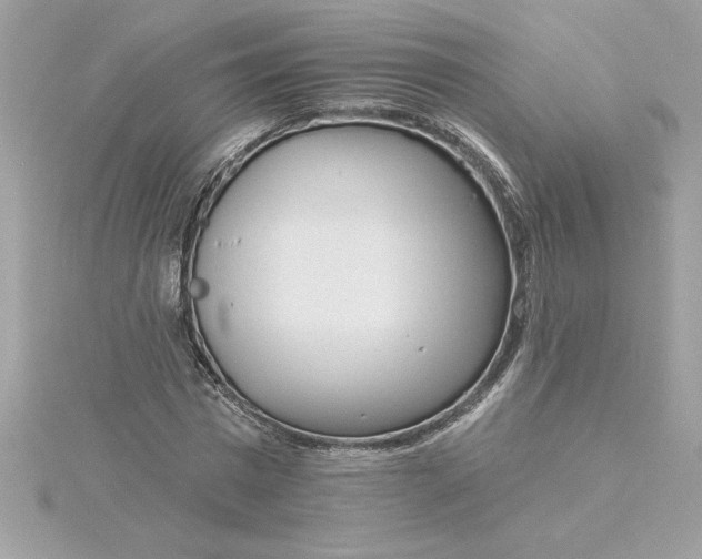 X0000116040777200912041811