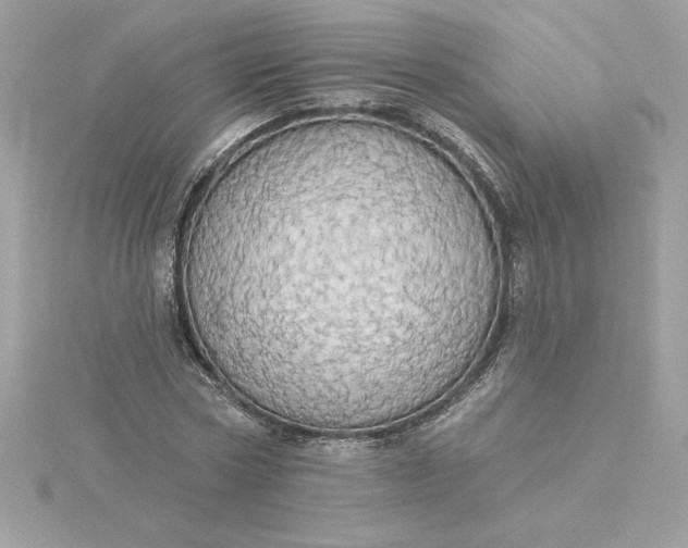 X0000116040778200912041811