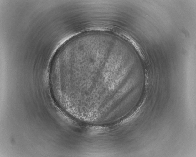 X0000116040779200912041811