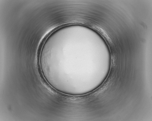 X0000116040780200912041811