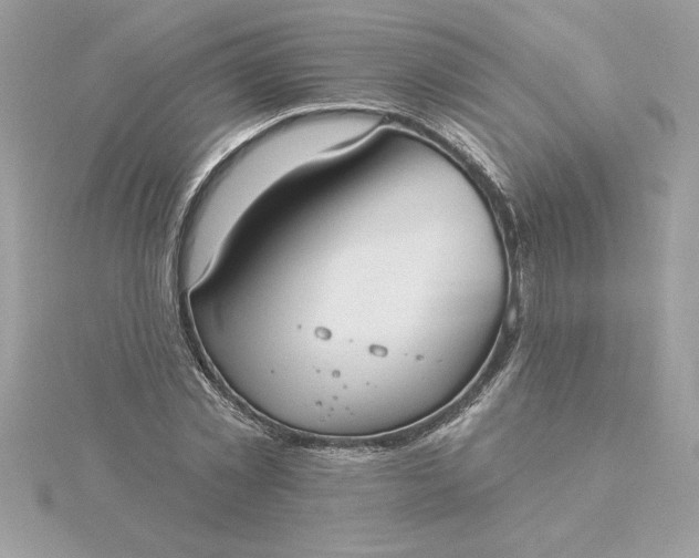 X0000116040781200912041811