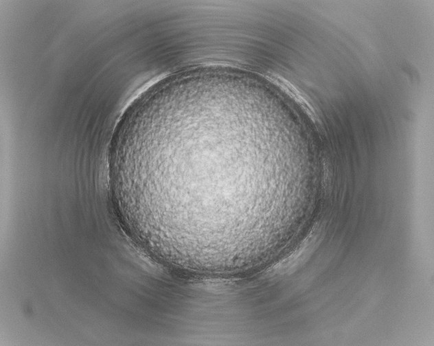 X0000116040782200912041811