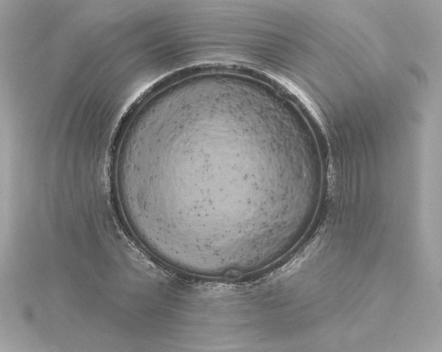 X0000116040783200912041811