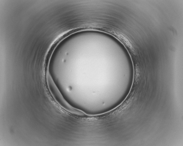 X0000116040784200912041811