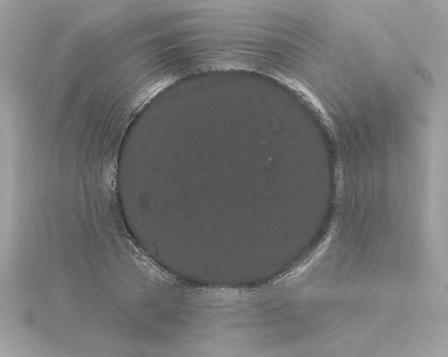 X0000116040785200912041811