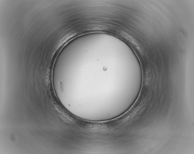 X0000116040786200912041811