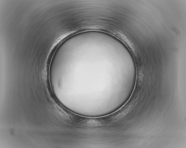 X0000116040787200912041811