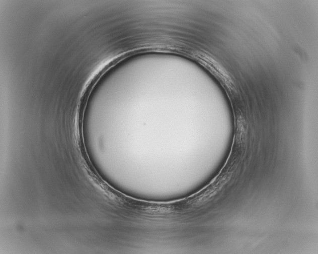 X0000116040788200912041811