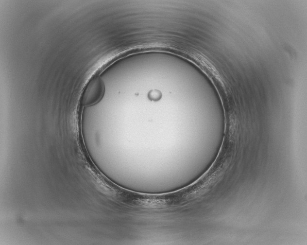 X0000116040789200912041811