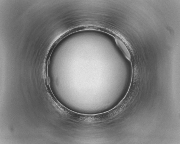 X0000116040791200912041811