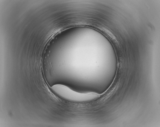 X0000116040793200912041811