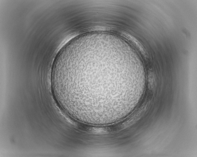 X0000116040794200912041811