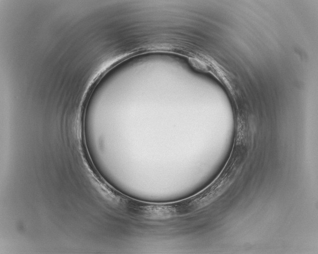 X0000116040795200912041811