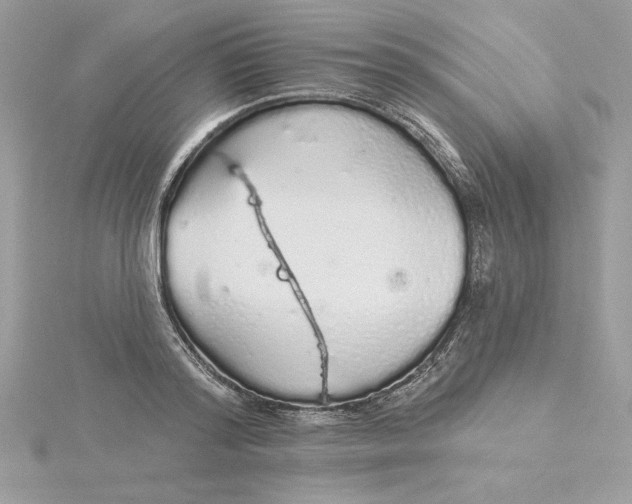 X0000116040796200912041811