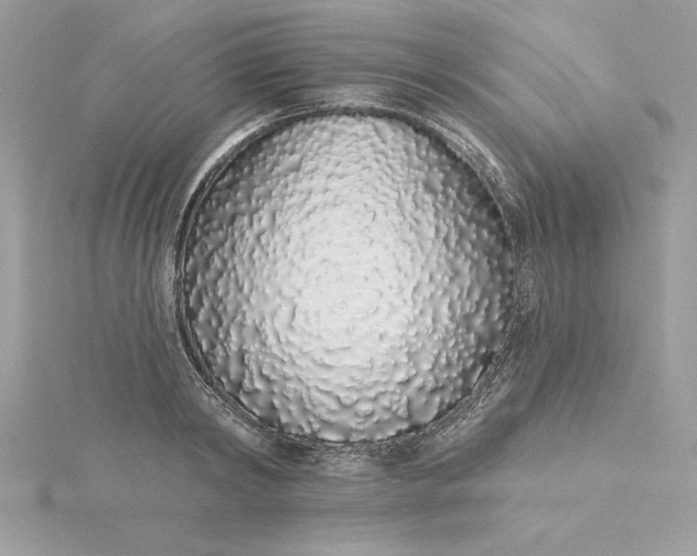 X0000116040798200912041811