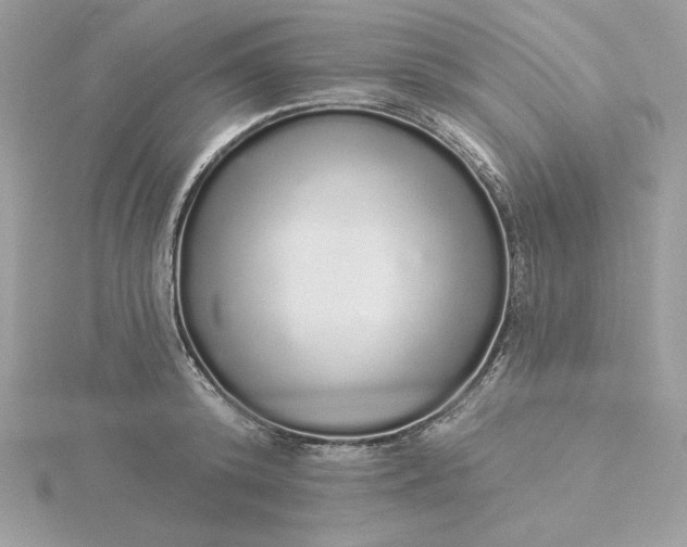 X0000116040800200912041811